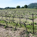 Côtes-du-Rhône Vignobles 56