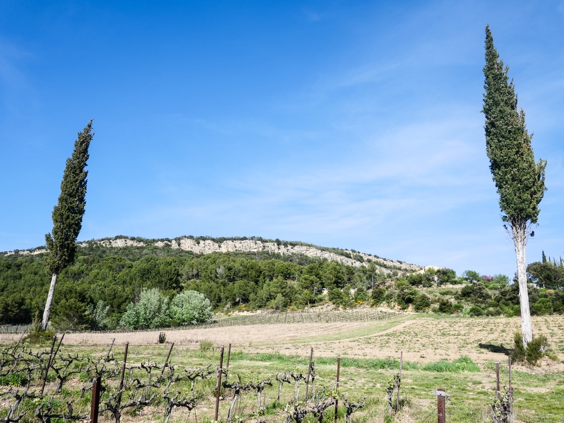 CôtesDuRhôneVignobles-51.jpg