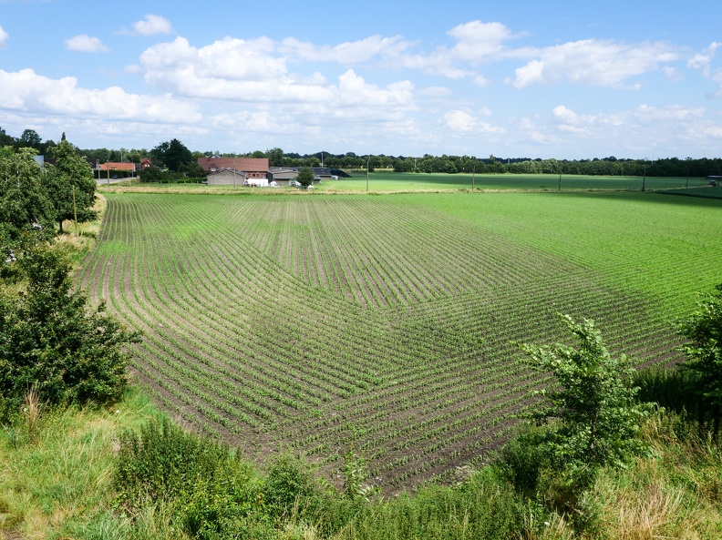 CdCBel-68.jpg
