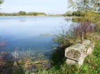 En Dombes, Ain, France