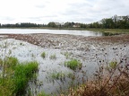 En Dombes-03