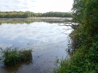 En Dombes-05