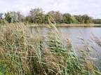 En Dombes-06