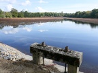 En Dombes-08