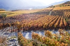 Vignoble de Salquenen