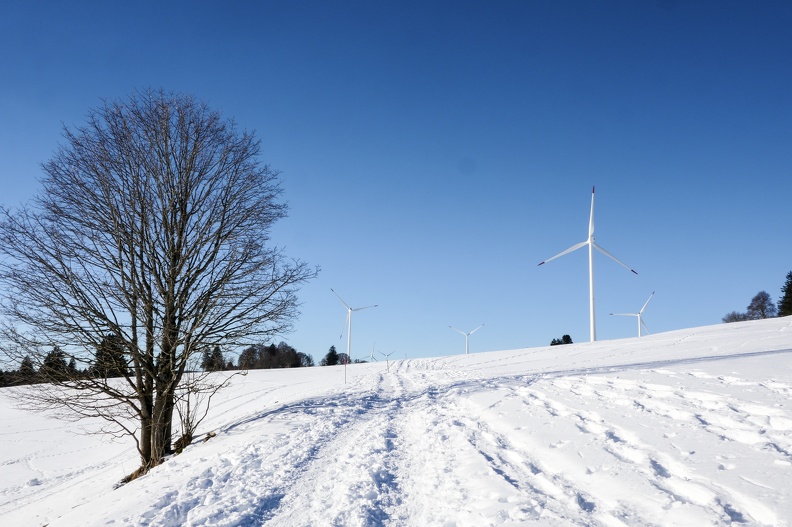 Jura-Neige-4.jpg