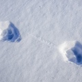Jura-Neige-10