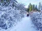 Jura-Neige-34