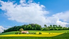 Route du Coeur #299 26 (879 visits) Route du Coeur #299 26