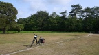 034Ringwood-NForest-1