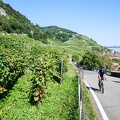 3 lacs à vélo-10
