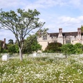 D08-Royal Turnbridge Wells (2)