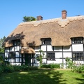 D16-New Forest National Park (1)