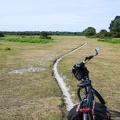 D17-New Forest National Park (2)
