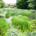 D20-Blandford Forum