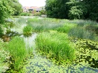 D20-Blandford Forum