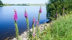 D32-Liskeard Lakes