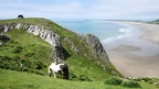 D53-Gower Peninsula