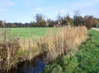 109 Riehen Tennis 03