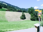 2025Eté-Simmental-13