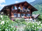 2025Eté-Simmental-15