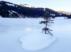2025-12-Lauenen-13 (635 visits) Le Lauenensee est entièrement gelé et, fait exceptionnel, ... 2025-12-Lauenen-13