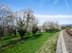 Zoug-Walchwil-07
