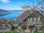 Walchwil-Arth-Goldau-06