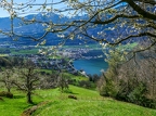 Walchwil-Arth-Goldau-08