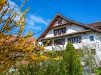 Walchwil-Arth-Goldau-09