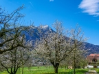 Walchwil-Arth-Goldau-16