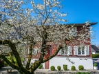 Walchwil-Arth-Goldau-15