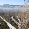Tour du lac de Sempach-03
