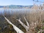 Tour du lac de Sempach-03