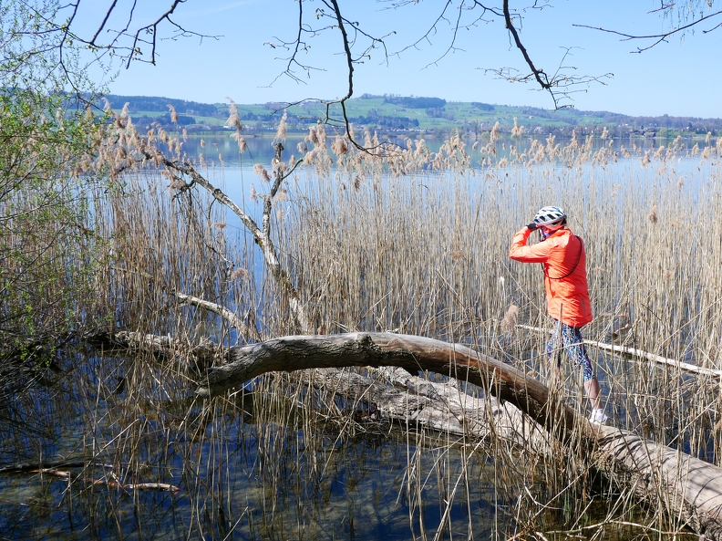 Tour du lac de Sempach-06.jpg