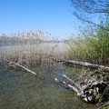 Tour du lac de Sempach-07