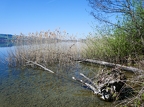 Tour du lac de Sempach-07