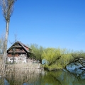 Tour du lac de Sempach-12