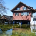 Tour du lac de Sempach-13