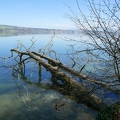 Tour du lac de Sempach-16