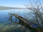 Tour du lac de Sempach-16