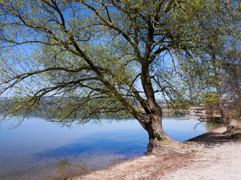 Tour du lac de Sempach-18.jpg