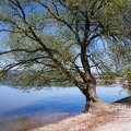 Tour du lac de Sempach-18