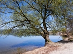 Tour du lac de Sempach-18