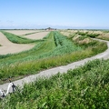 2026-05mai11-09