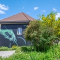 2026-05mai25-11