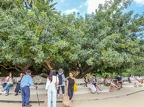 ParkGuellPeople-04 (250 visits) ParkGuellPeople-04