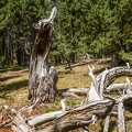 Pyrénées-56