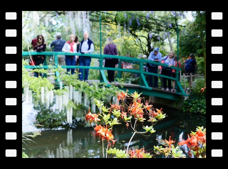 2019 - Jardin Claude Monet à Giverny